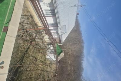 Casă cu Teren 2000 Mp în Preutești - 4