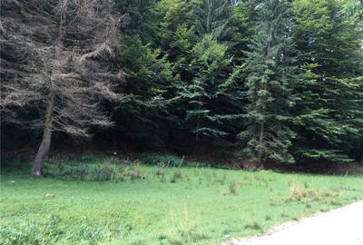 Teren de 3825 mp, în Vama Buzăului - 5