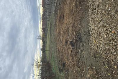 Vand casa cu gradina in Ciumeghiu - 1