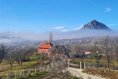 Acasa in Apuseni - 19