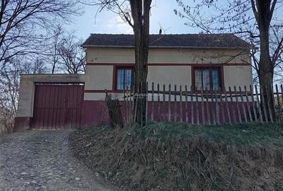 Casă cu Teren 247 Mp în Caransebeș