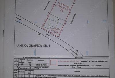 Vand casa cu gradina si curte Rachitova, Jud. HD Vand casa cu gradina si curte Rachitova, Jud. HD - 8