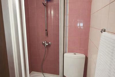 Apartament cu 3 camere decomandat, mobilat în Tineretului - 14