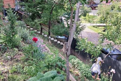Teren de 800 mp, în Scorțeni - 2