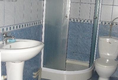 Casa de inchiriat in zona Domenii - 5