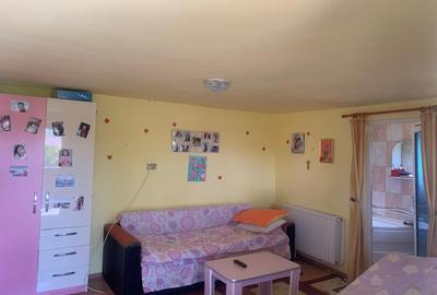 Fermă de vânzare în com. Deleni - DN3 - 10.680 mp - 84 m deschidere - 6