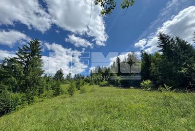 Teren extravilan de 23520 mp, în Periferie - 3
