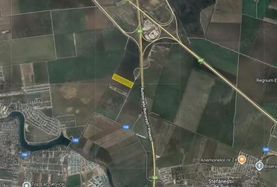 Teren de 24900 mp, în Ștefăneștii de Jos - 2