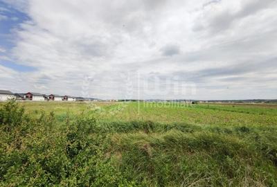 Teren Construcții intravilan de 7200 mp, în Jucu de Mijloc