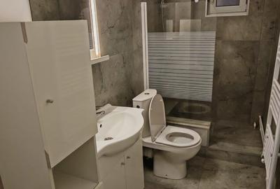 Apartament cu 2 camere decomandat, mobilat în Siderurgiștilor - 4