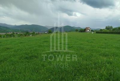 Teren Construcții extravilan de 3066 mp, în Rășinari