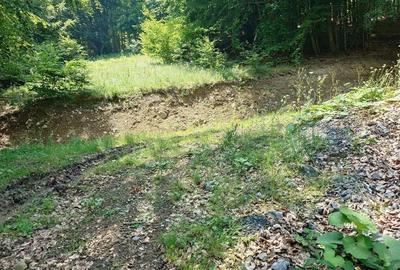 Teren montan cu priveliste si izvor - 5727mp in Buces, langa padure Teren montan cu priveliste si izvor - 5727mp in Buces, langa padure - 8