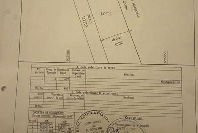 Spațiu comercial, în Domnești - 2