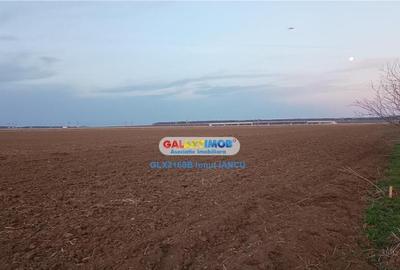 Teren TUNARI nod rutier A0 - A1 - 1