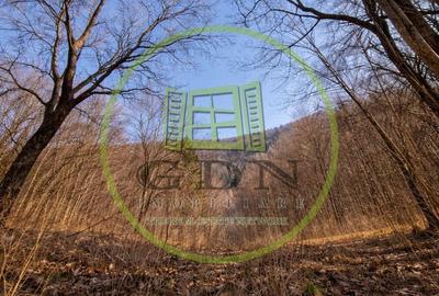 Spațiu comercial, în Schei - 2