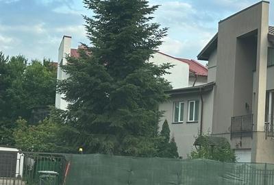 Casă cu 7 camere cu Canalizare în Pipera - 5