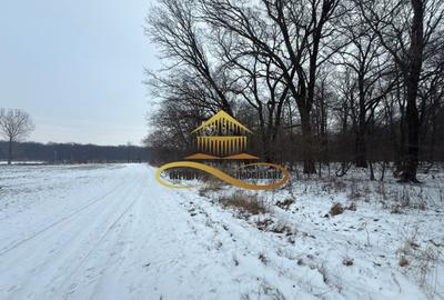 Teren extravilan de 2700 mp, în Berești-Bistrița - 1