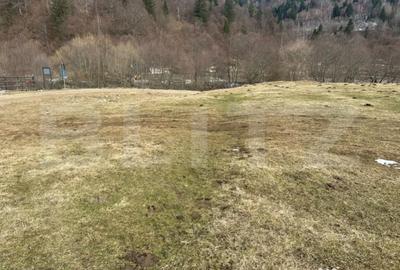 Teren în Central - 7