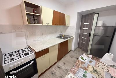 Apartament cu 2 camere semidecomandat în Vest - 4