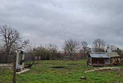 Crevedia - Darza , teren si casa batraneasca - 6