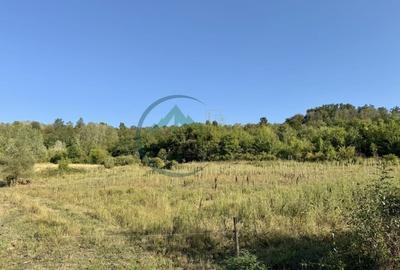 Teren 33290 mp, Lupsa de sus, Oportunitate de investitie - 2