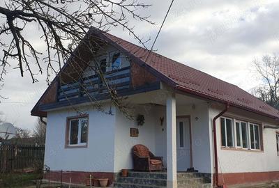 Casă cu Teren 2450 Mp în Lădești - 2