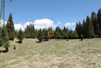 Teren de 50000 mp, în Pietroșița - 2