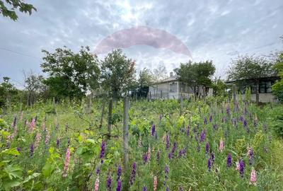 Casă individuală cu 3 camere cu Garaj în Oancea - 1