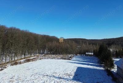 Teren de 9850 mp, în Dragomirna - 2