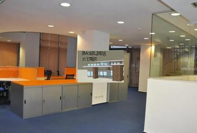 Birou, 290 mp în Cișmigiu - 10