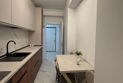 Apartament cu 2 camere decomandat, mobilat în Gorjului - 10
