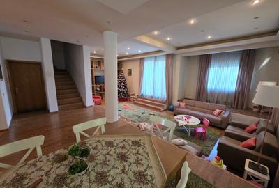 Dristor, Camil Ressu, 15 minute metrou, pe strada Ilioara - 3