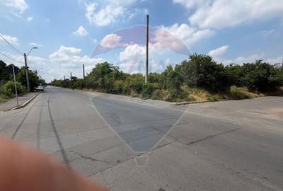 Teren Construcții intravilan de 50580 mp, în Giulești - 3