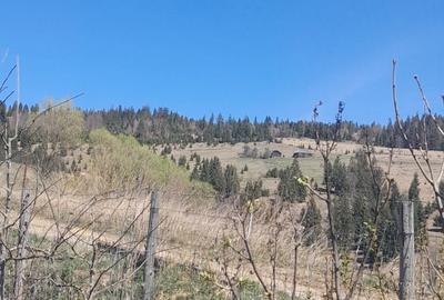 Casă cu 3 camere cu Teren 3892 Mp în Dorna Candrenilor - 3