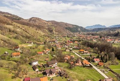 FILM! Teren de 6.500 mp si camin stramosesc, in inima Bucegi