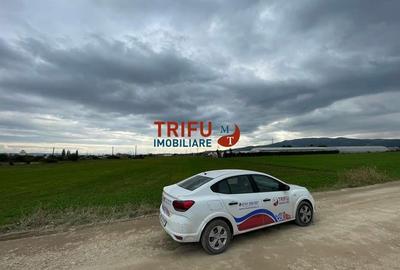 Teren extravilan de vânzare în Bărăbanț - 1