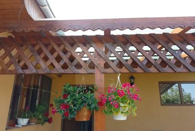 Casă individuală cu 3 camere cu Canalizare în Hănțești - 25