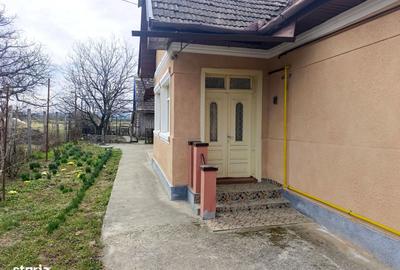 Casă cu 2 camere cu Teren 1400 Mp în Central - 14