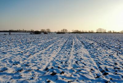 Teren Construcții intravilan de 17800 mp, în Șagului - 3