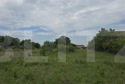 Teren de 801 mp, în Bariera Vâlcii - 4