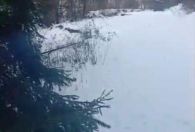 Teren de 8179 mp, în Cârlibaba - 7