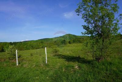 Teren 38,592mp Sighetu Marmatiei / Strada Mocani?ei - 20