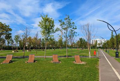 Teren Construcții intravilan de 5000 mp, în Metalurgiei - 19