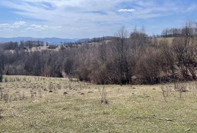 Spațiu comercial, în Central - 3