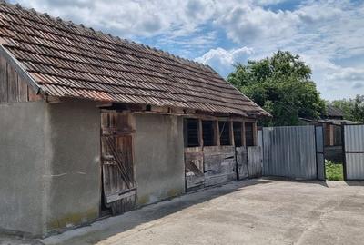 Casă 6 camere, livadă, 3 199 mp, Girisul Negru, Bihor. 42 000 E - 18