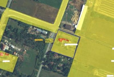 Casă cu 2 camere cu Teren 2920 Mp în Padina - 4