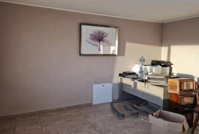 Casa cu teren de 14340 mp în Jebel/Pretabila pentru afacere - 8