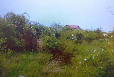 Teren 15000 mp Vernesti, Buzau cu PUZ - 3