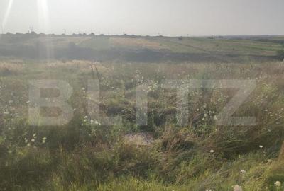 Teren intravilan 5000 mp deschidere 17 ml la DN65 , zona Qfo - 2