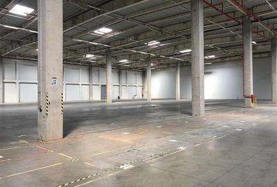 Inchiriere depozit/hala/spatiu industrial Popesti Leordeni-DN4-A0 - 4